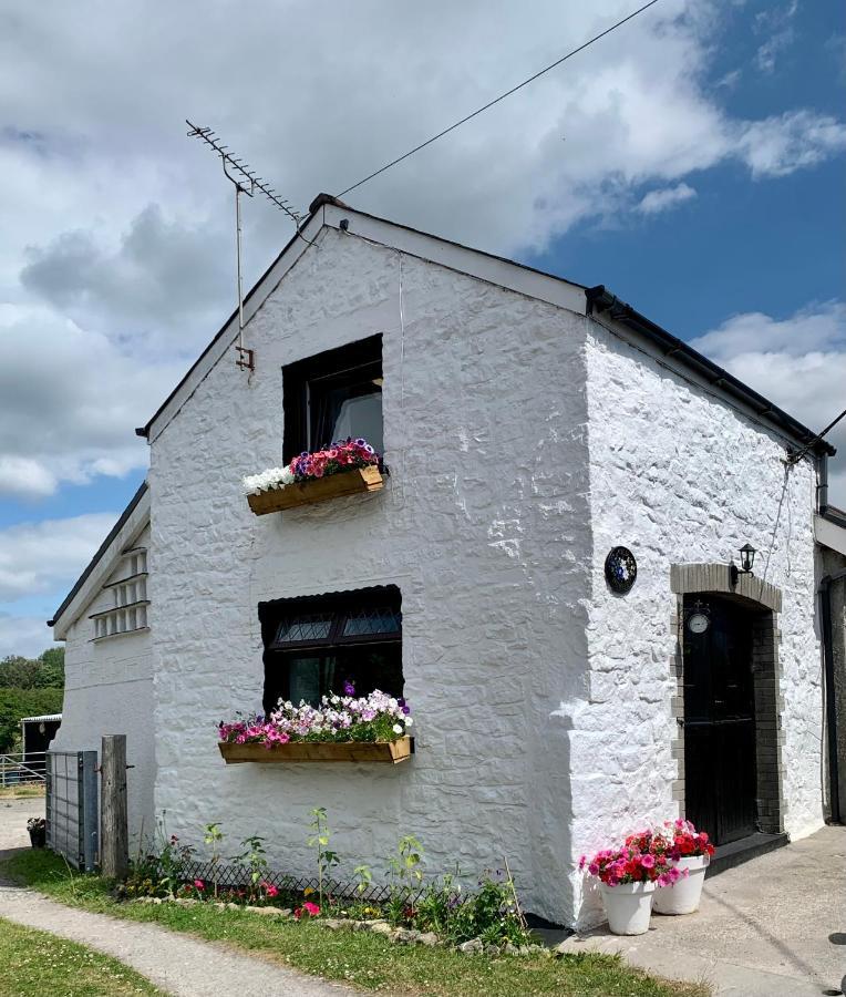 Old Nursery * Coity